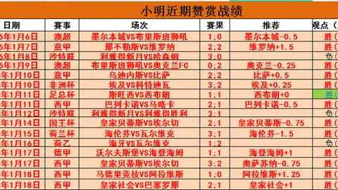 揭示顶尖之光：无障碍探索数据秘密之旅